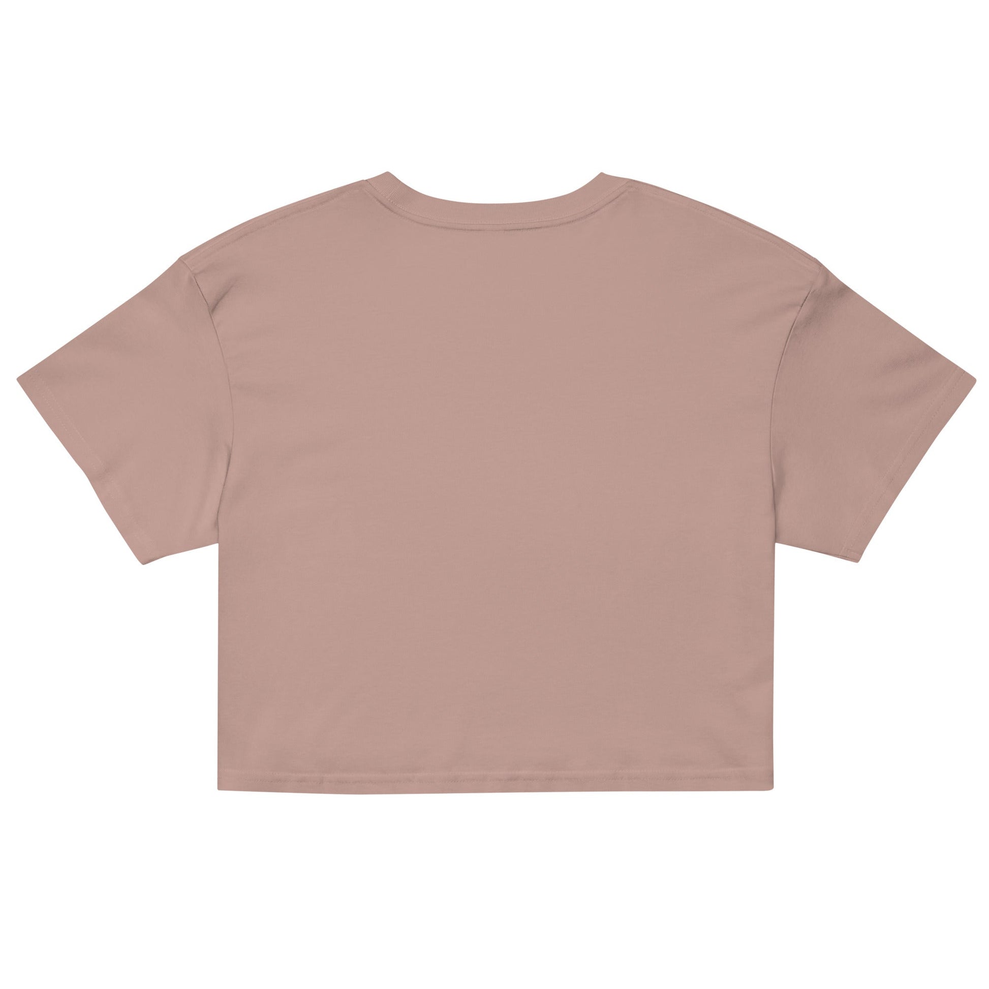 Carlos Sainz Y2K Baby Tee - twogirls1formula